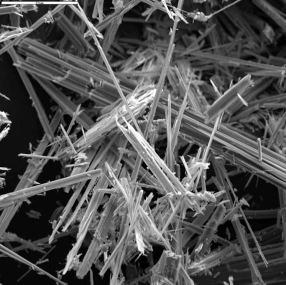 EBIO Azbeszt szálak mikroszkópikus képe
